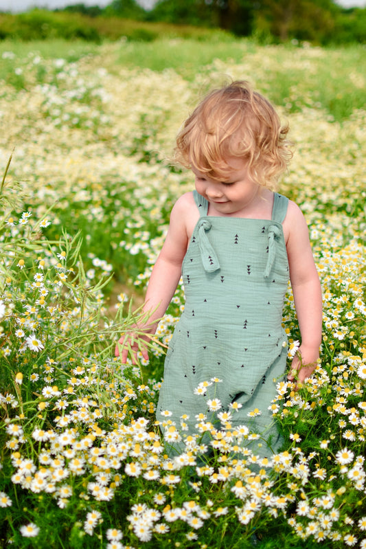 Waves & Wild Baby/Child Wild and Free Dungarees - Printed copy shop (+£7.00)